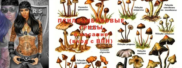 мет Абдулино