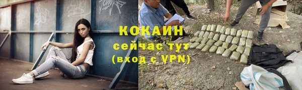 сатива Абаза